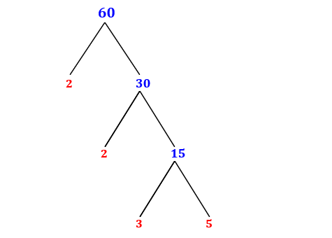 Prime Factorization of 60 with a Factor Tree - MathOnDemand.com